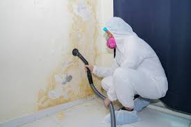 Best Mold Prevention Services  in St Joseph, MN